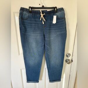 Lane Bryant Blue Boyfriend Jeans with Elastic Waistband